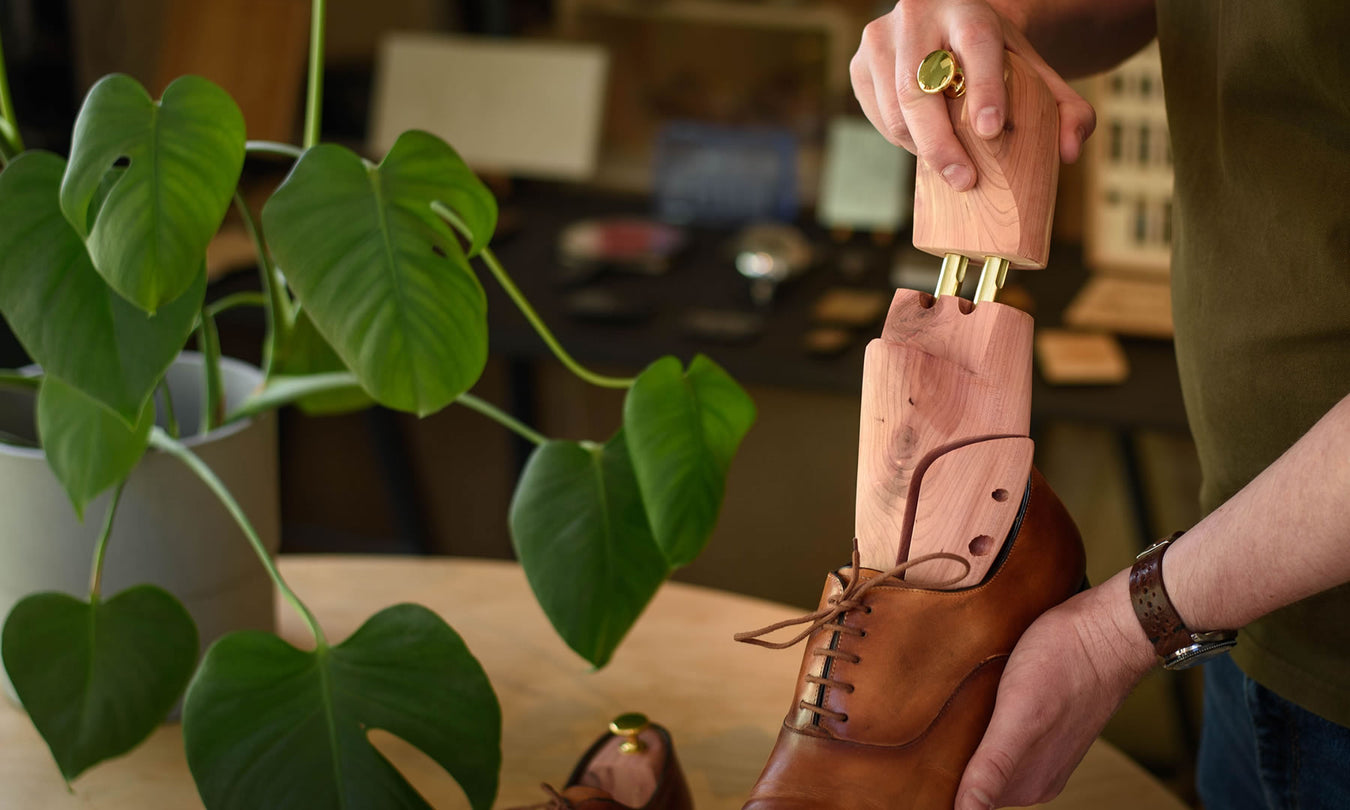 Sir Beecs cedar shoe trees inserted in leather shoes