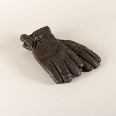 HESTRA Tällberg leather gloves - dark forest